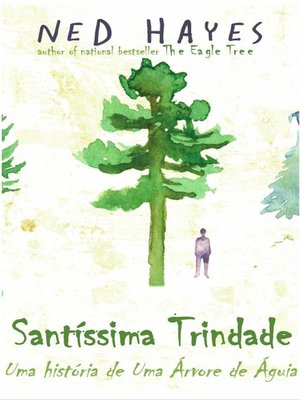 cover image of Santíssima Trindade